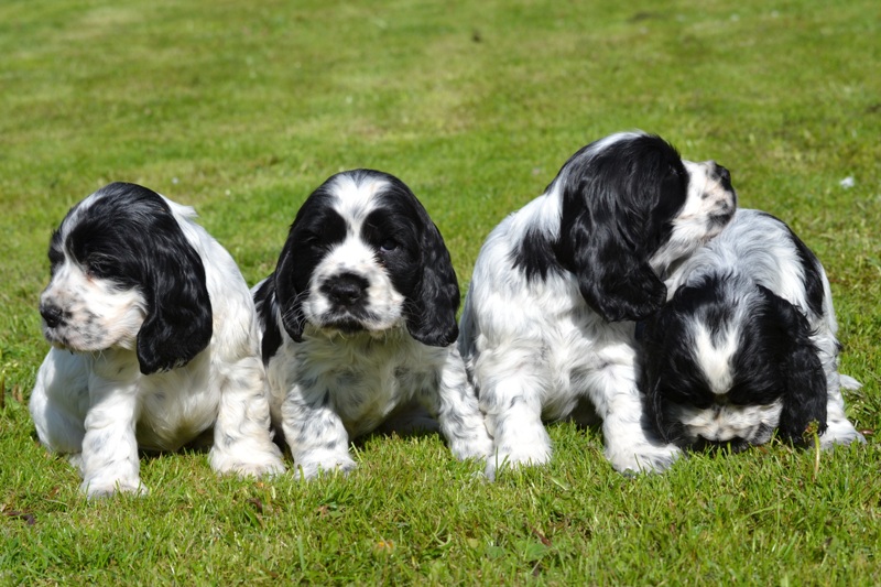 20-Habi, Hanny, Hart, Haidi.JPG